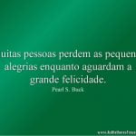 Muitas pessoas perdem as pequenas alegrias enquanto aguardam a grande felicidade.