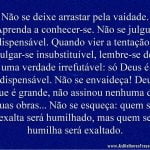 Não se deixe arrastar pela vaidade.