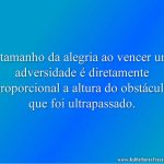 O tamanho da alegria ao vencer uma adversidade é diretamente proporcional a altura do obstáculo que foi ultrapassado.