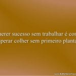 Querer sucesso sem trabalhar é como esperar colher sem primeiro plantar.