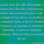 Os bons dias lhe dão felicidade. Os maus dias lhe dão experiência. Ambos são essenciais para vida