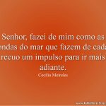 Senhor, fazei de mim como as ondas do mar que fazem de cada recuo um impulso para ir mais adiante.