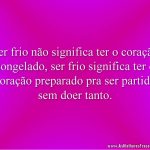 Ser frio não significa ter o coração congelado, ser frio significa ter o coração preparado pra ser partido sem doer tanto.