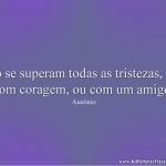 Só se superam todas as tristezas, ou com coragem, ou com um amigo.