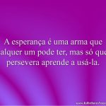 A esperança é uma arma que qualquer um pode ter, mas só quem persevera aprende a usá-la.