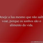 Deseje a lua mesmo que não saiba voar, porque os sonhos são o alimento da vida.