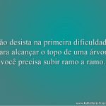 Não desista na primeira dificuldade, para alcançar o topo de uma árvore você precisa subir ramo a ramo.