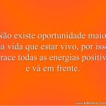 Não existe oportunidade maior na vida que estar vivo, por isso abrace todas as energias positivas e vá em frente.
