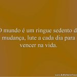 O mundo é um ringue sedento de mudança, lute a cada dia para vencer na vida.