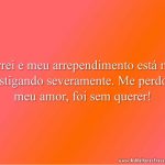 Errei e meu arrependimento está me castigando severamente. Me perdoe, meu amor, foi sem querer!