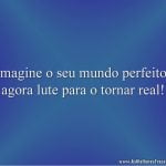 Imagine o seu mundo perfeito; agora lute para o tornar real!