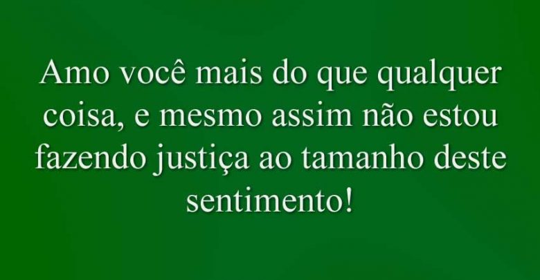 Amo você mais do que qualquer coisa, e mesmo assim não estou fazendo justiça ao tamanho deste sentimento!