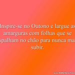 Inspire-se no Outono e largue as amarguras com folhas que se espalham no chão para nunca mais subir.