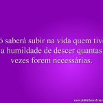 Só saberá subir na vida quem tiver a humildade de descer quantas vezes forem necessárias.