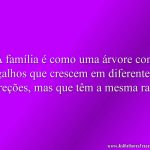 A família é como uma árvore com galhos que crescem em diferentes direções, mas que têm a mesma raiz.