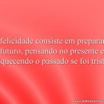 A felicidade consiste em preparar o futuro, pensando no presente e esquecendo o passado se foi triste.