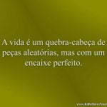 A vida é um quebra-cabeça de peças aleatórias, mas com um encaixe perfeito.