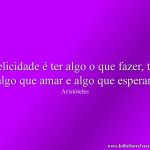 Felicidade é ter algo o que fazer, ter algo que amar e algo que esperar.