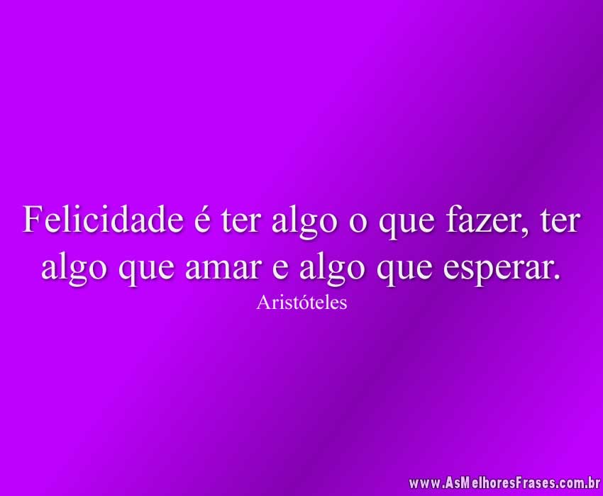 Felicidade é ter algo o que fazer, ter algo que amar e algo que esperar.