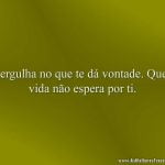 Mergulha no que te dá vontade. Que a vida não espera por ti.