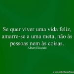 Se quer viver uma vida feliz, amarre-se a uma meta, não às pessoas nem às coisas.