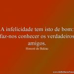 A infelicidade tem isto de bom: faz-nos conhecer os verdadeiros amigos.