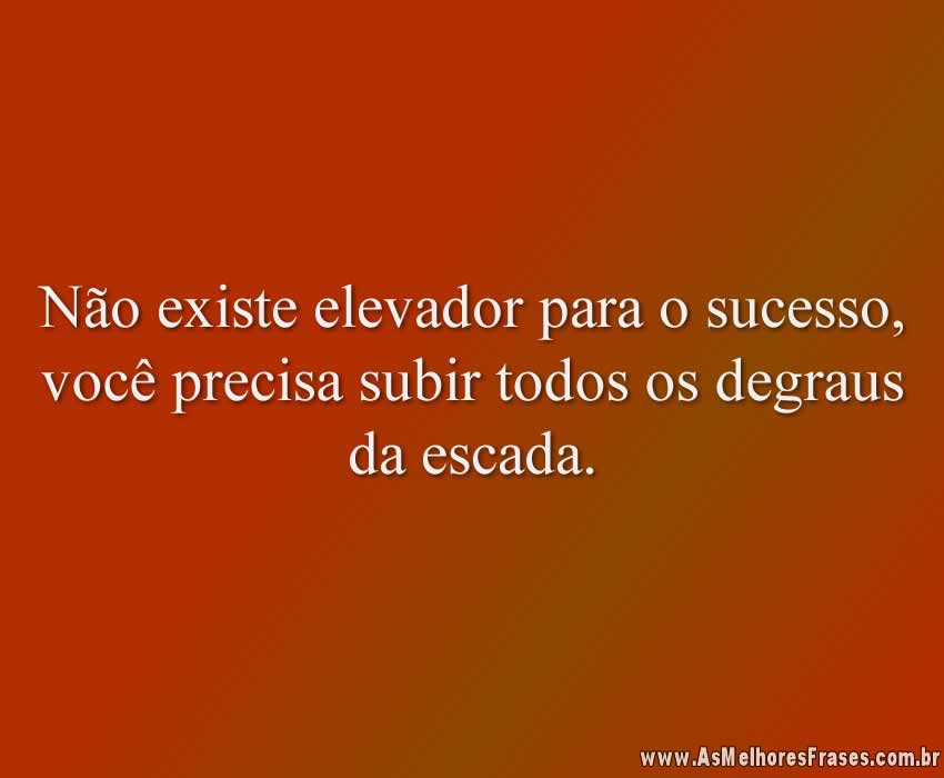 Não existe elevador para o sucesso, você precisa subir todos os degraus da escada.