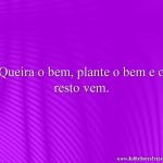 Queira o bem, plante o bem e o resto vem.