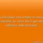 A felicidade está sempre no nosso caminho, às vezes nós é que não sabemos onde procurar.