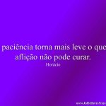 A paciência torna mais leve o que a aflição não pode curar.