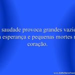 A saudade provoca grandes vazios na esperança e pequenas mortes no coração.