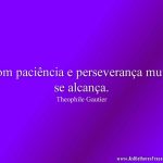 Com paciência e perseverança muito se alcança.