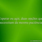 Esperar ou agir, duas opções que necessitam da mesma paciência.
