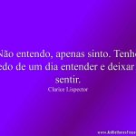 Não entendo, apenas sinto. Tenho medo de um dia entender e deixar de sentir.