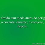 O tímido tem medo antes do perigo; o covarde, durante; o corajoso, depois.