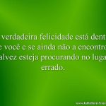 A verdadeira felicidade está dentro de você e se ainda não a encontrou talvez esteja procurando no lugar errado.