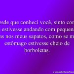 Desde que conheci você, sinto como se estivesse andando com pequenas asas nos meus sapatos, como se meu estômago estivesse cheio de borboletas.