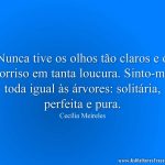 Nunca tive os olhos tão claros e o sorriso em tanta loucura. Sinto-me toda igual às árvores: solitária, perfeita e pura.