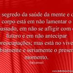 O segredo da saúde da mente e do corpo está em não lamentar o passado, em não se afligir com o futuro e em não antecipar preocupações; mas está no viver sabiamente e seriamente o presente momento.