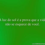 A luz do sol é a prova que a vida não se esquece de você.