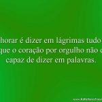 Chorar é dizer em lágrimas tudo o que o coração por orgulho não é capaz de dizer em palavras.