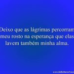Deixo que as lágrimas percorram meu rosto na esperança que elas lavem também minha alma.