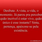 Desfrute. A vista, a vida, o momento. Já parou pra perceber quão incrível é estar vivo, quão único é esse instante? Sinta, pertença, apaixone-se pela existência.