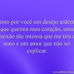 Sinto por você um desejo ardente que queima meu coração, uma paixão tão intensa que me tira o sono e um amor que não sei explicar.