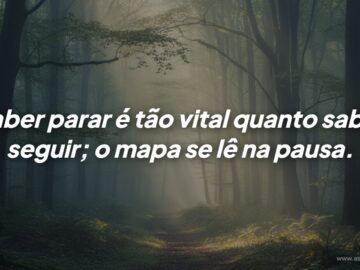 A arte de pausar para avançar