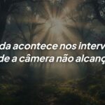 Reflexão sobre a vida: encontrando a beleza nos momentos offline