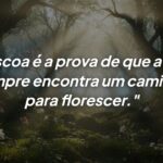 Frases de Páscoa: A Prova de que a Vida Sempre Floresce